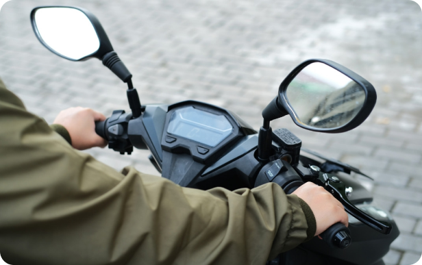 images spion